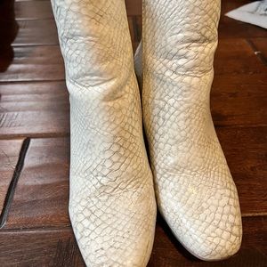 Steve Madden Snake Booties